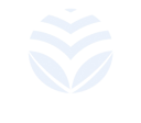 VAGUPE Logo